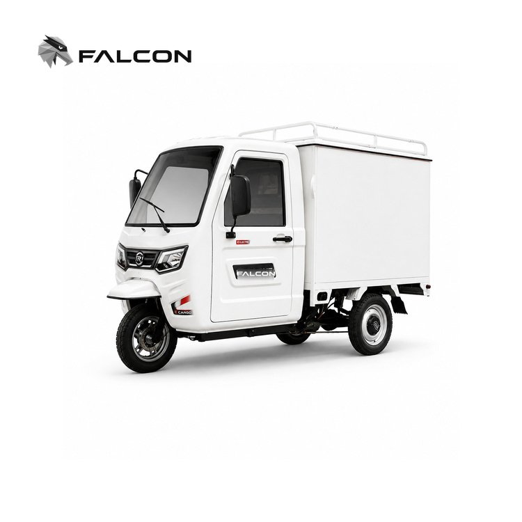Enclosed Cargo Vehicles