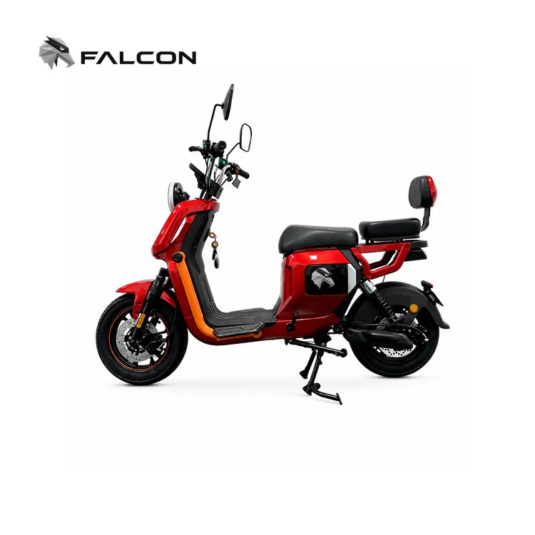 Electric Scooters